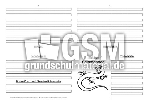 Salamander-Faltbuch-vierseitig-2.pdf